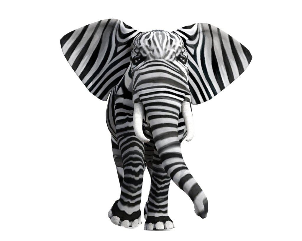 Ellie Enora's mascot a black and white striped elephant that represents entrepreneurship